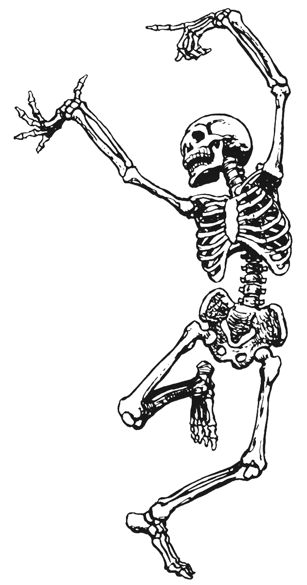 skeleton